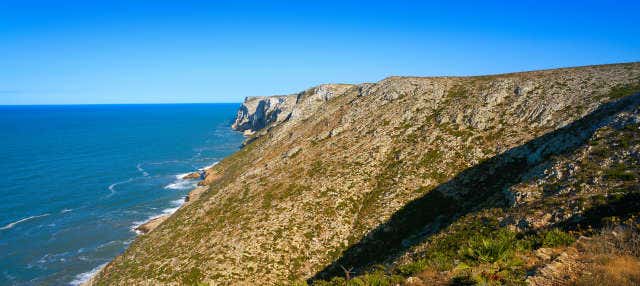 Giro in barca nella Riserva Marina del Cabo de San Antonio