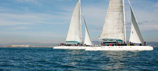 Giro in catamarano con barbecue