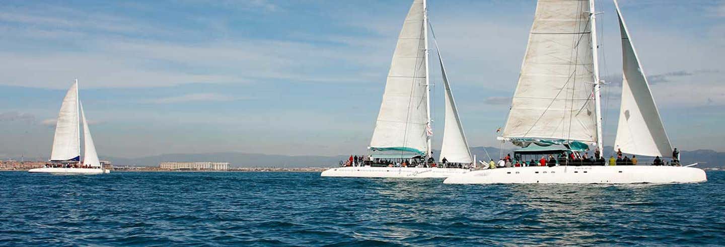 Giro in catamarano con barbecue