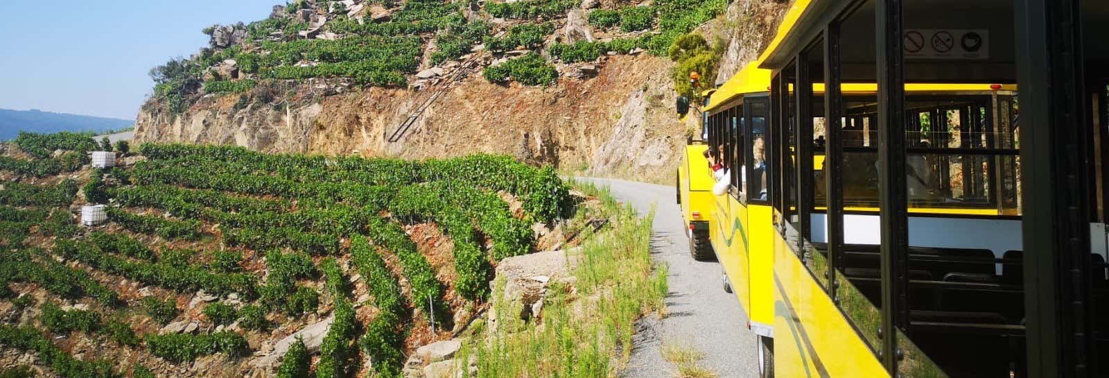 Ribeira Sacra Tourist Train Ride