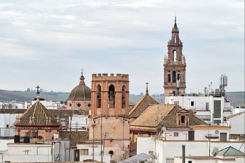 Imagen 7