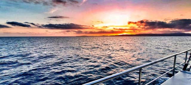 Giro in catamarano nella baia di Palma al tramonto