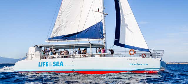 Giro in catamarano nella baia di Palma con barbecue