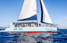 Palma Bay Catamaran Trip with a BBQ