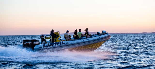 Giro in motoscafo sulla baia di Palma