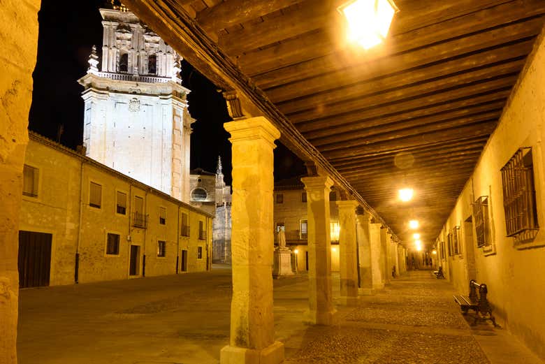 Imagen 4