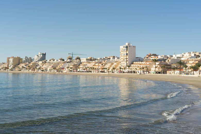 Imagen 6