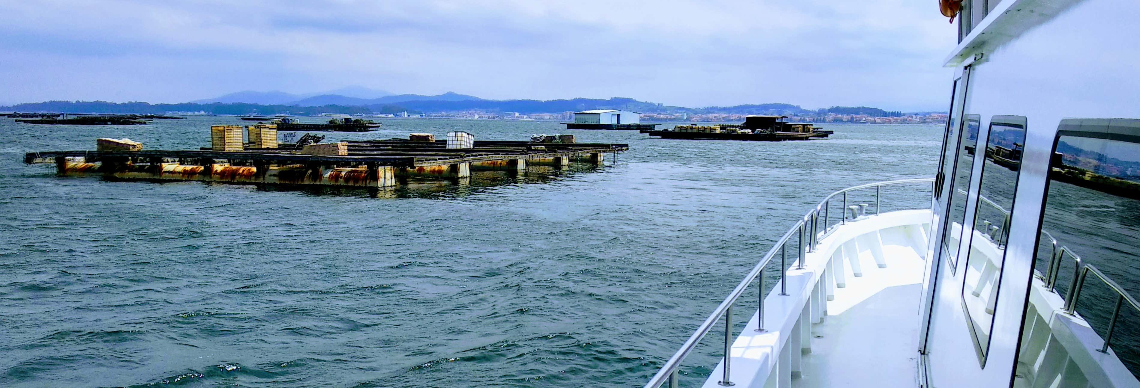 Ría de Arousa Cruise + Lunch