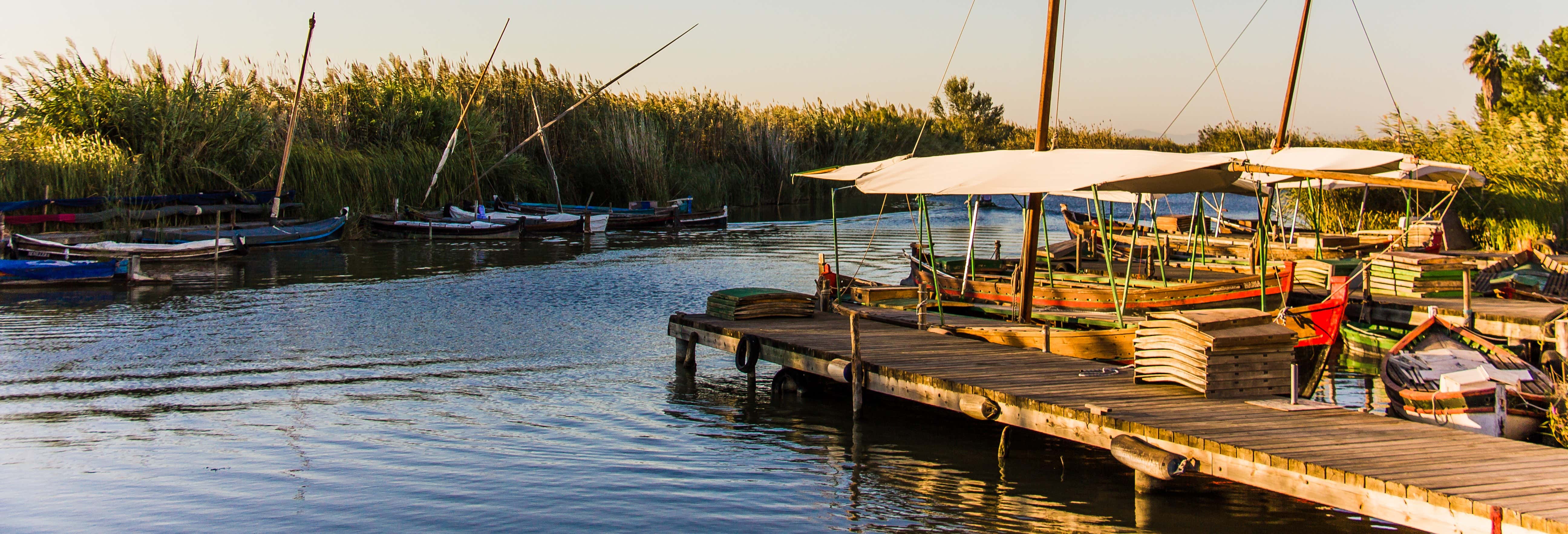 Free tour dell'Albufera