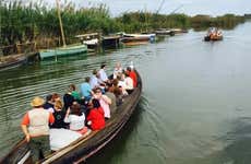 Paseo en barca por la Albufera