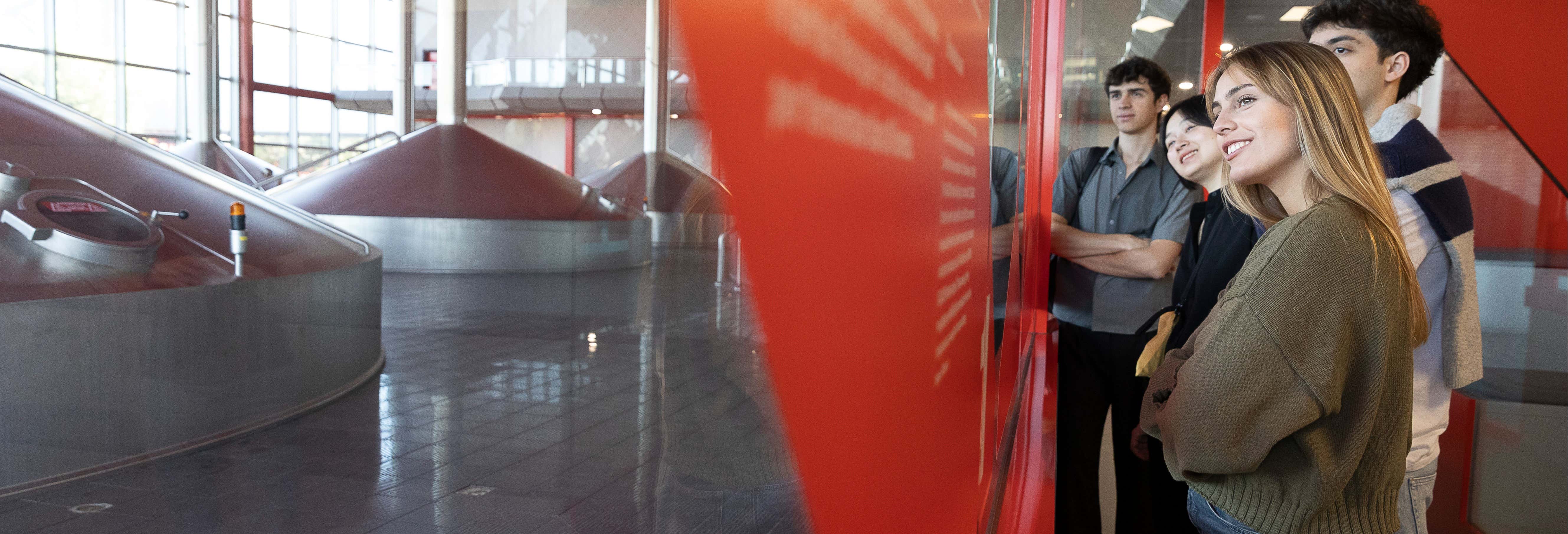 Guided Tour of the Estrella Damm Brewery