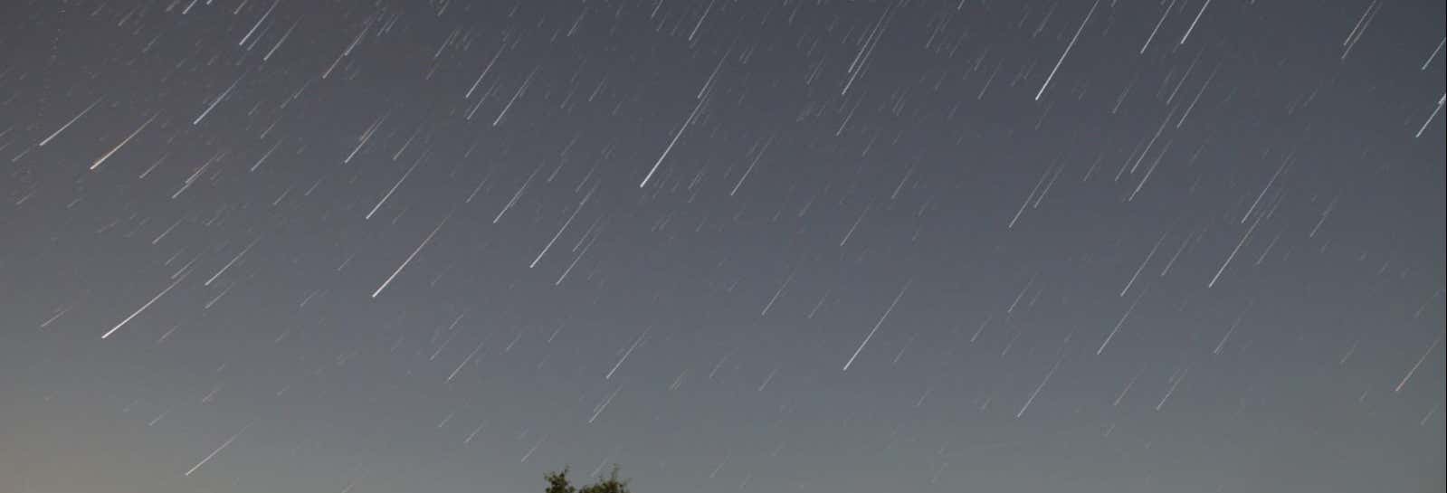 Osservazione astronomica nei campi di lavanda