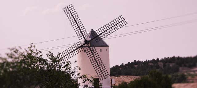 Visita guidata del Romeral
