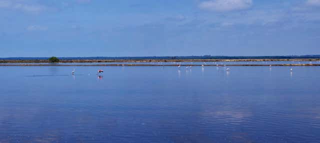 Giro in barca al Molo delle Caravelle