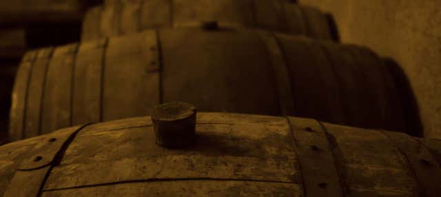 Visita alle cantine Monje