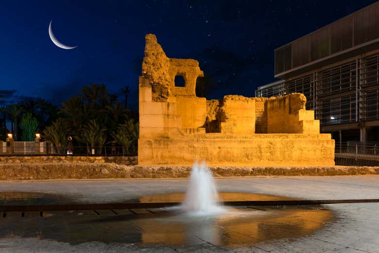Imagen 7