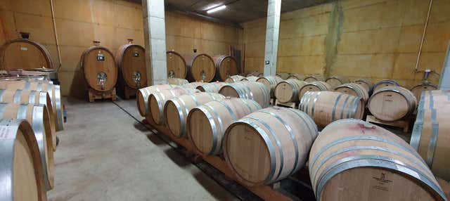 Visita alla cantina La Conreria