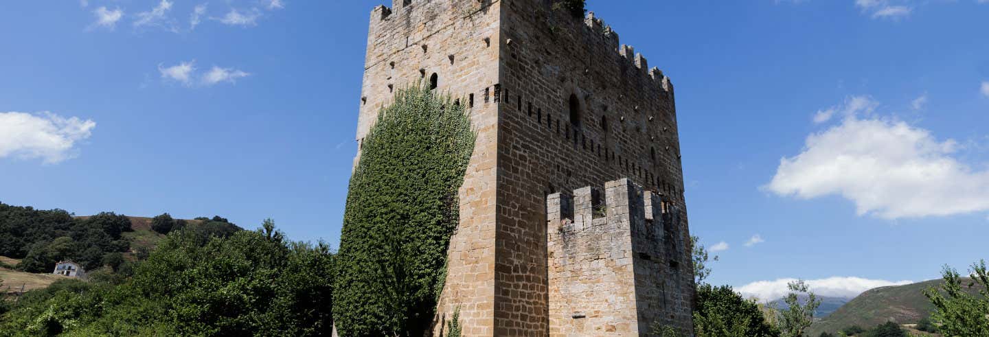 Free tour di Espinosa de los Monteros