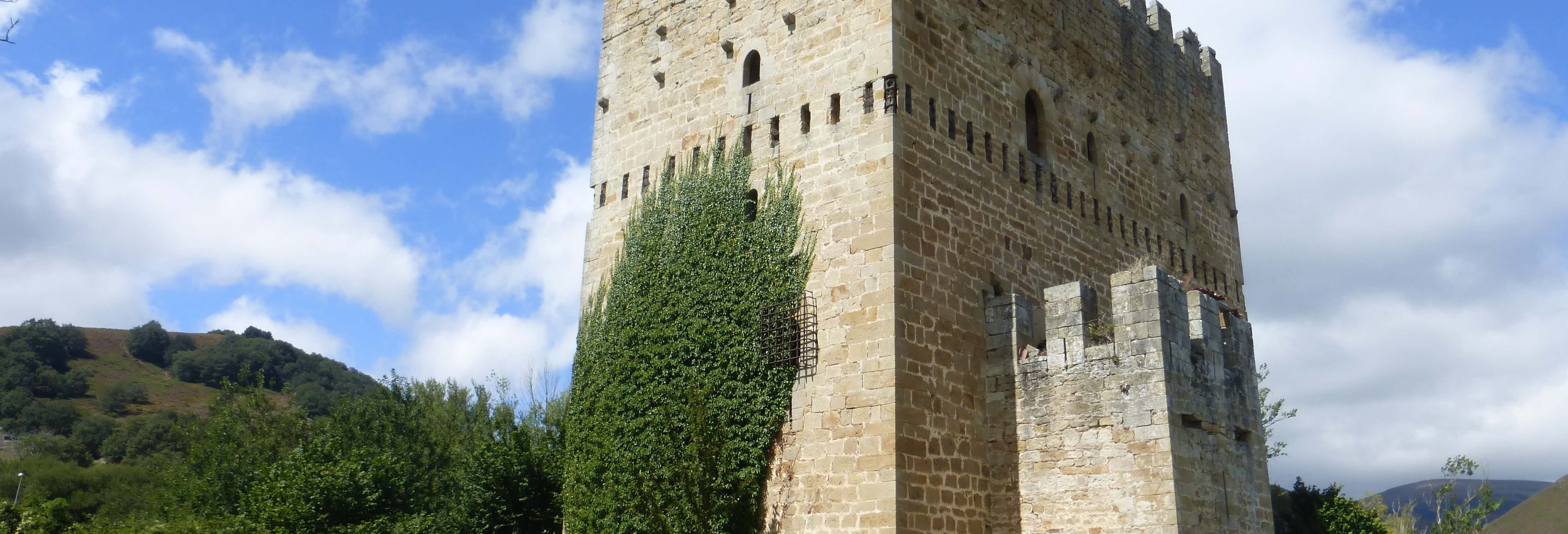 Visita guidata di Espinosa de los Monteros