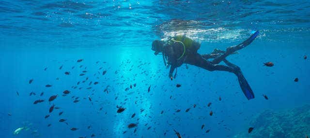 Immersione per principianti nel Parco Naturale del Montgrí