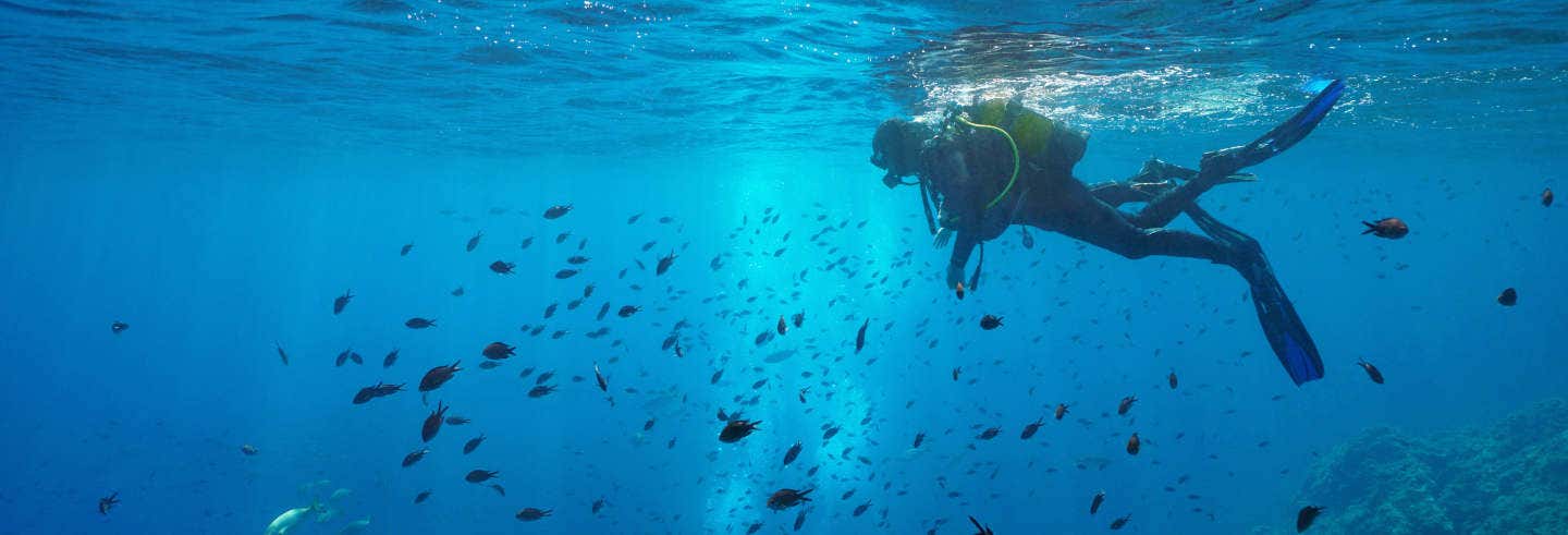 Immersione per principianti nel Parco Naturale del Montgrí