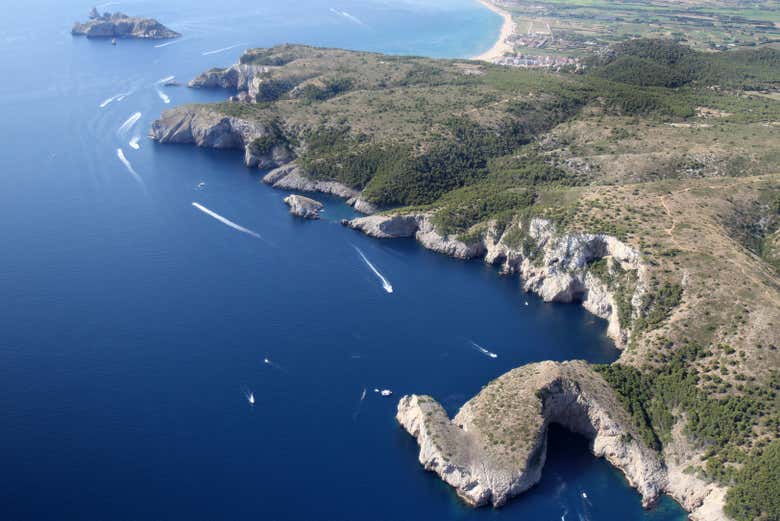 Imagen 4