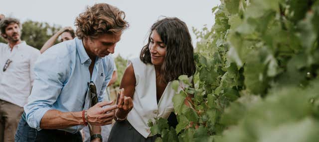 Visita delle Bodegas Arínzano