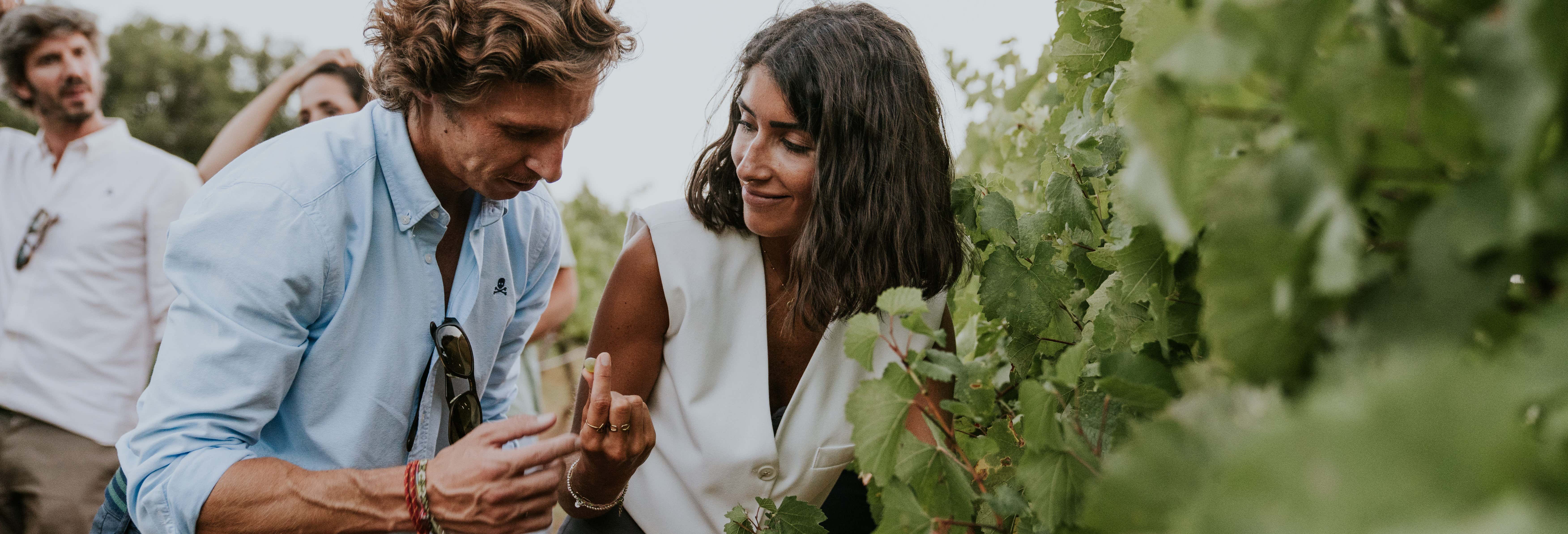 Visita delle Bodegas Arínzano