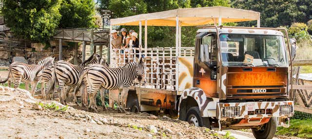 Biglietti per Selwo Aventura