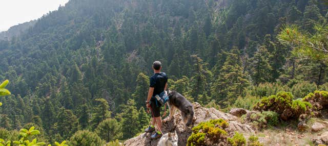 Trekking nel bosco di Pinsapos