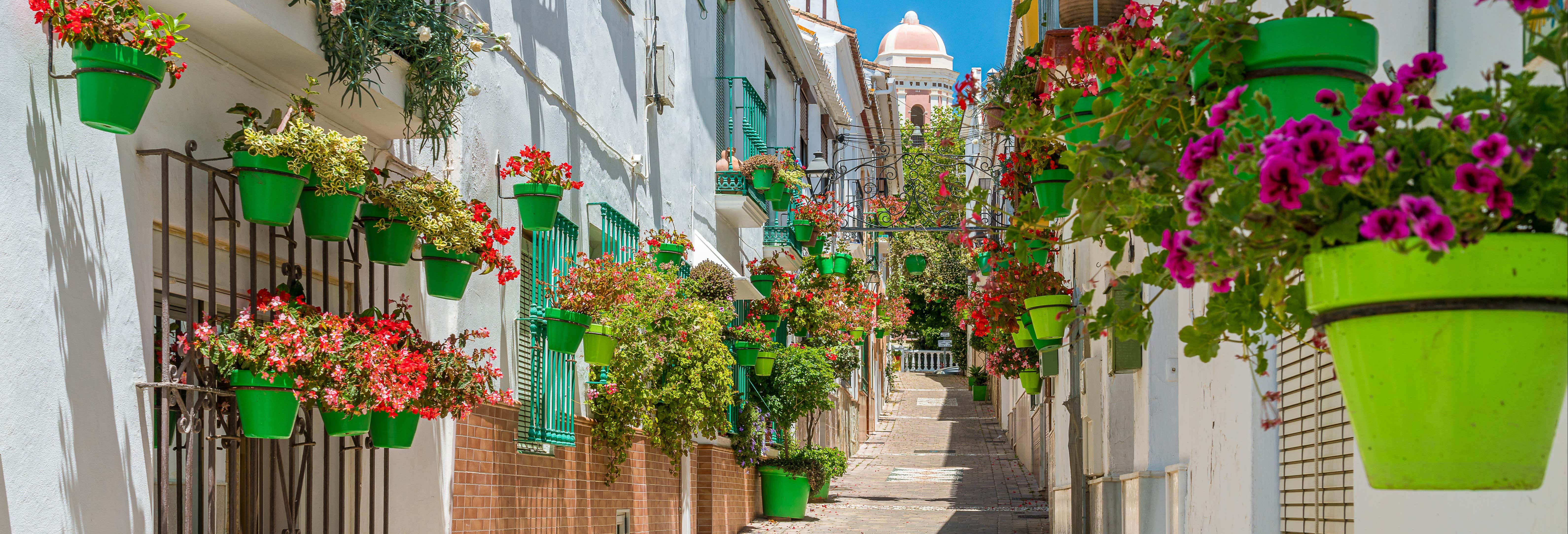 Estepona Guided Tour