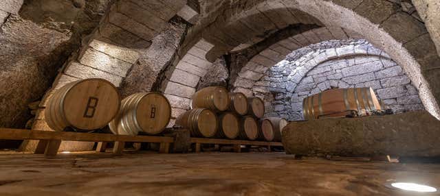 Visita alla cantina Bruneo