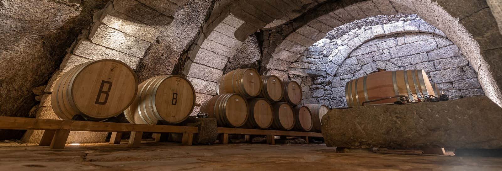 Visita alla cantina Bruneo