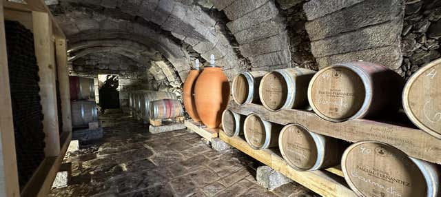 Visita delle cantine sotterrane di Fermoselle