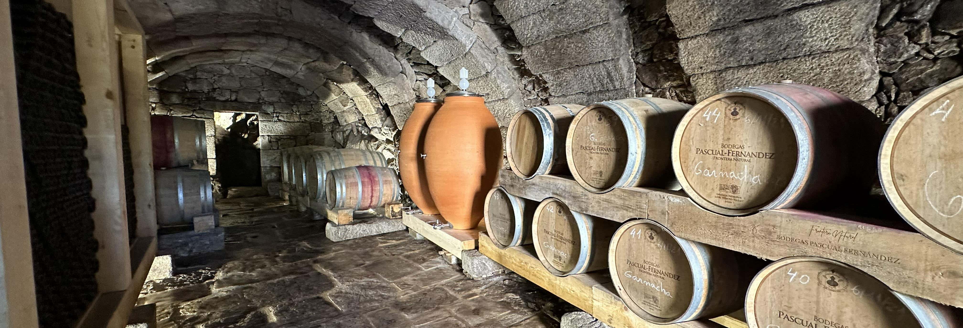 Visita delle cantine sotterrane di Fermoselle