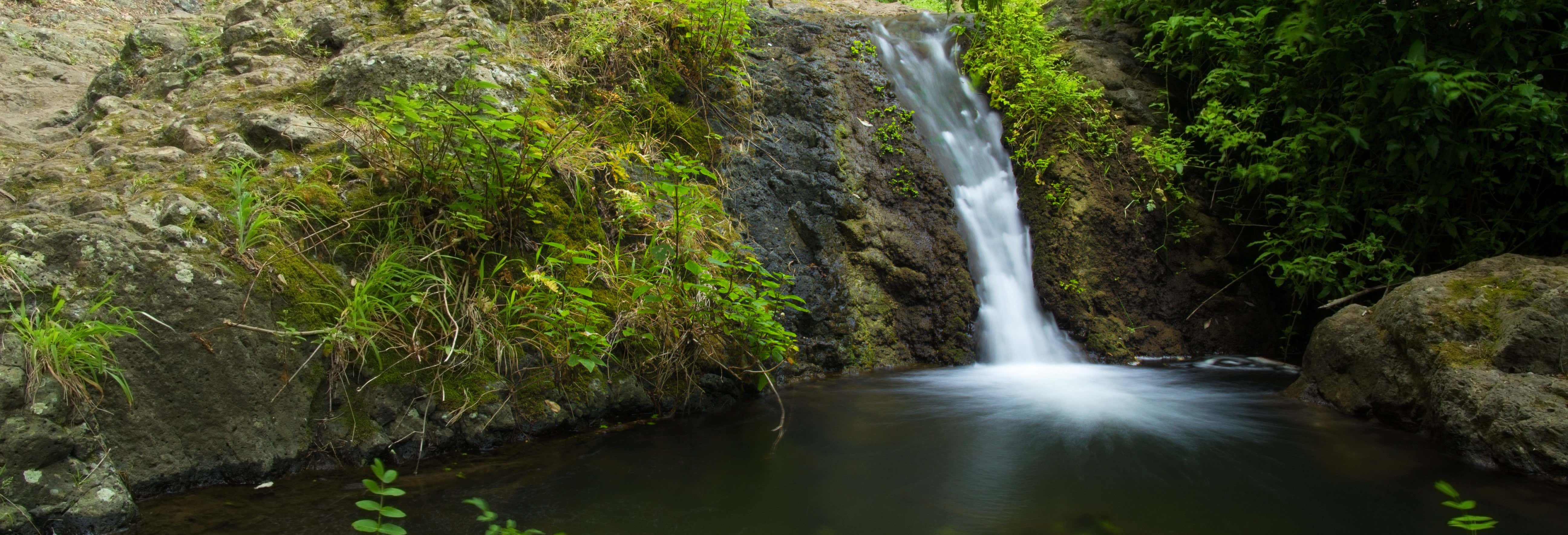 Azuaje Ravine Hiking Tour