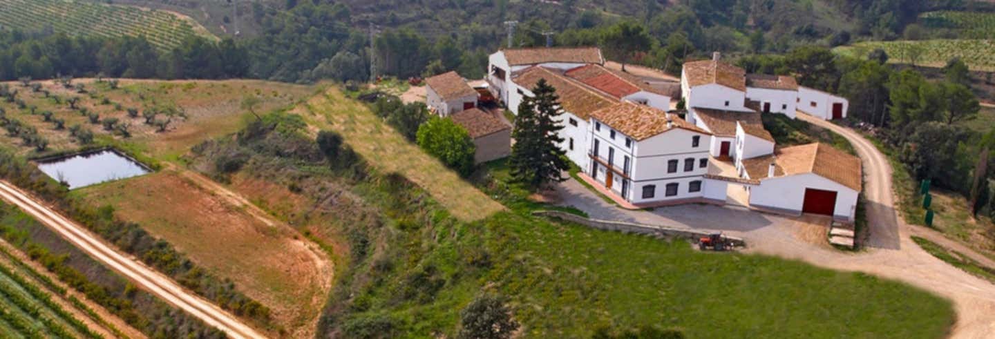 Bodega Miquel Jané Tour