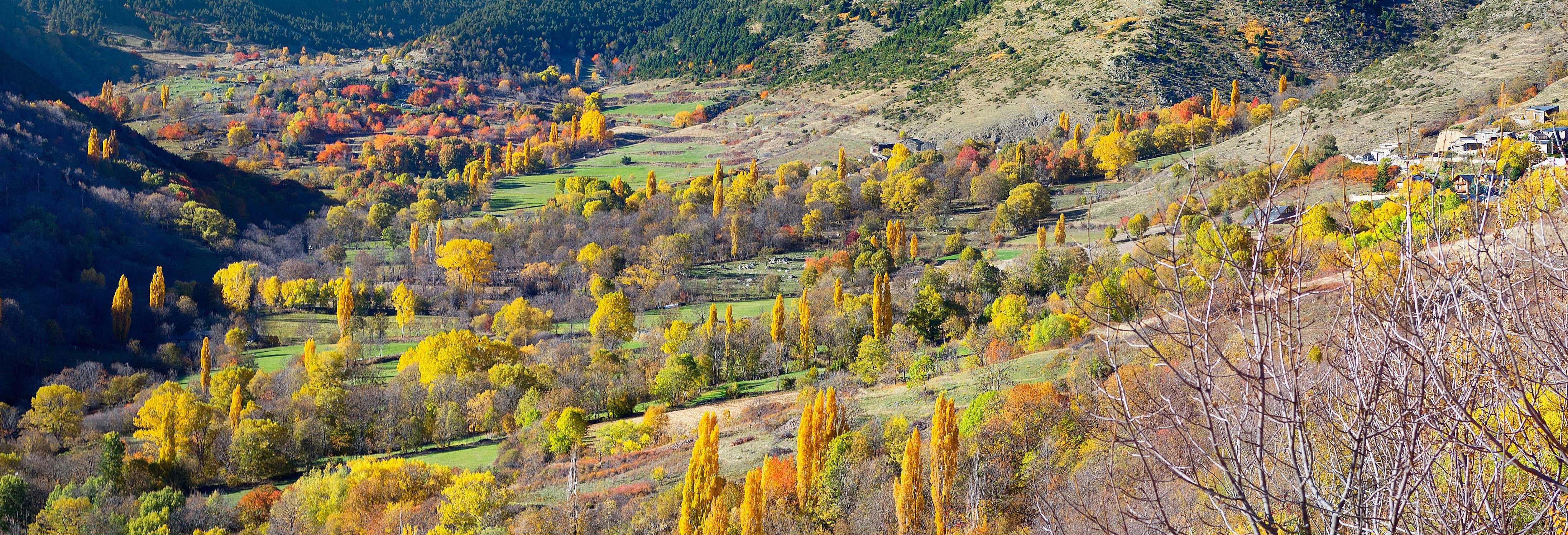 Fontanals de Cerdaña