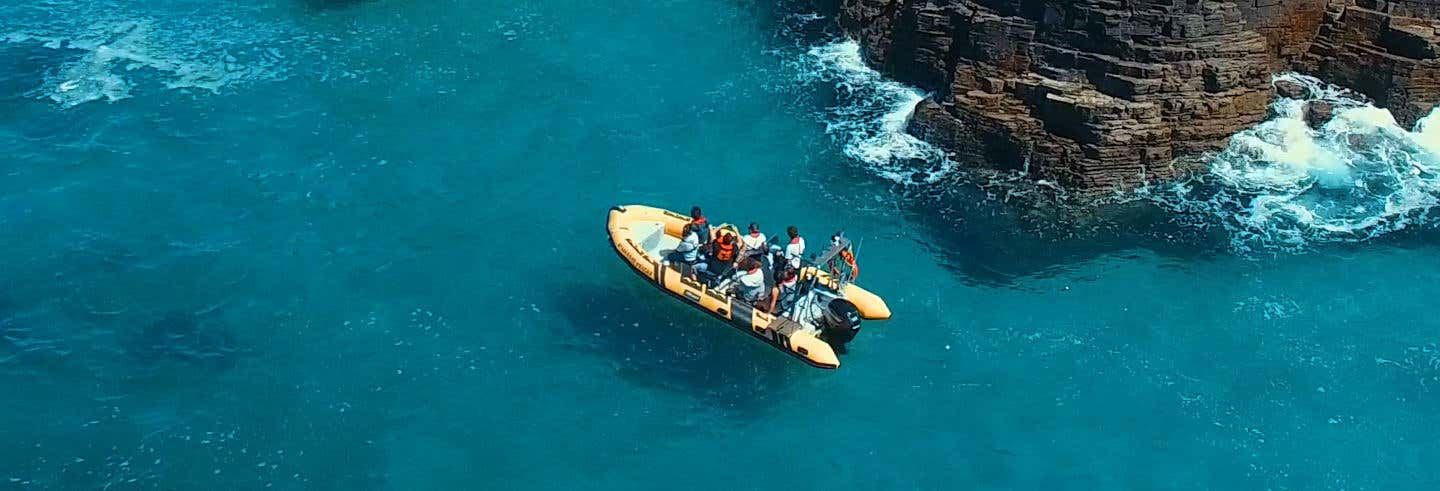 Foz Coast Boat Trip