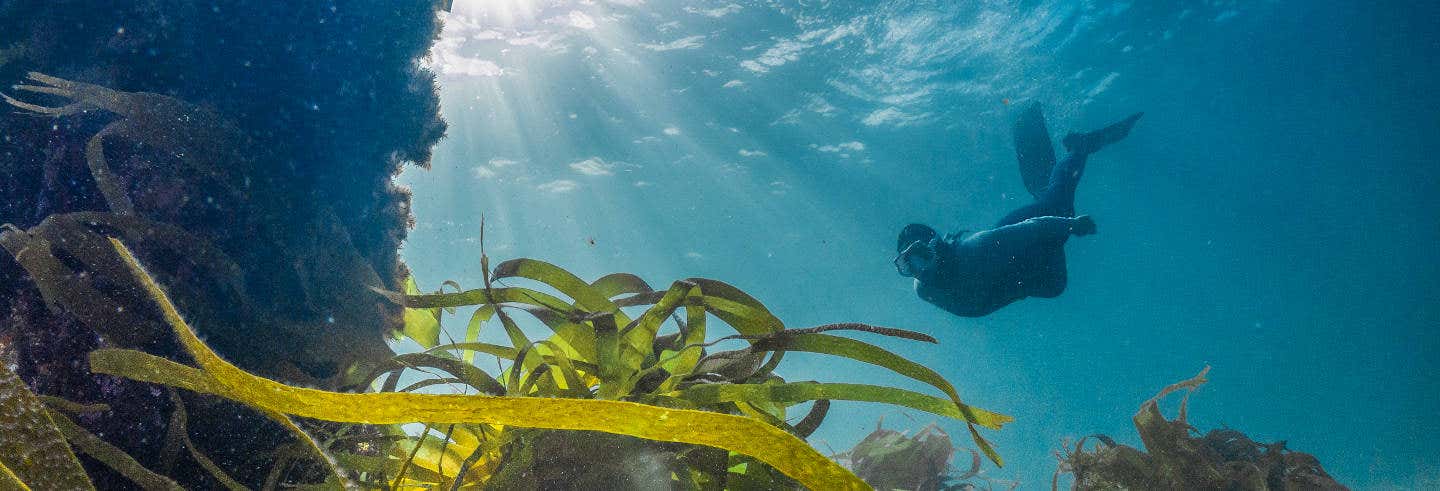 Snorkelling in Foz