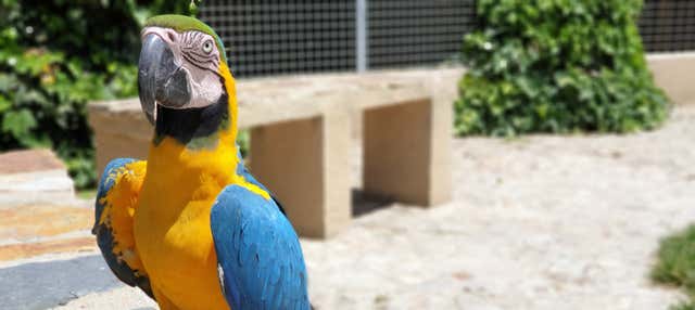 Biglietti per lo Zoo La Era de las Aves