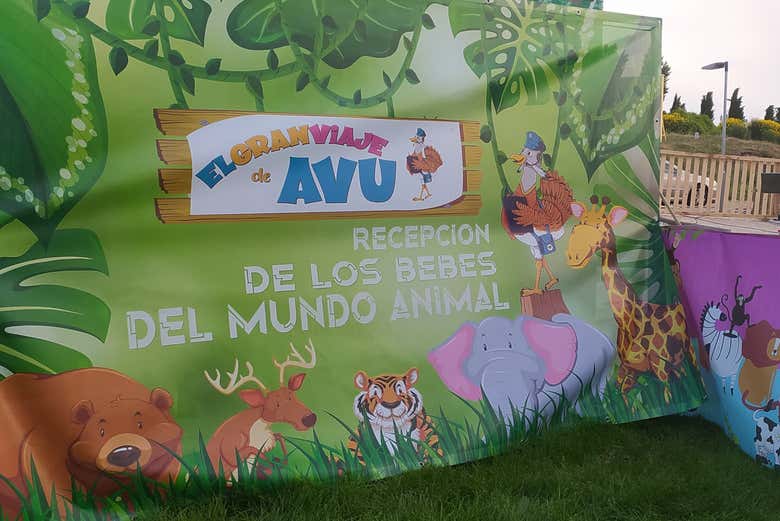 Imagen 5