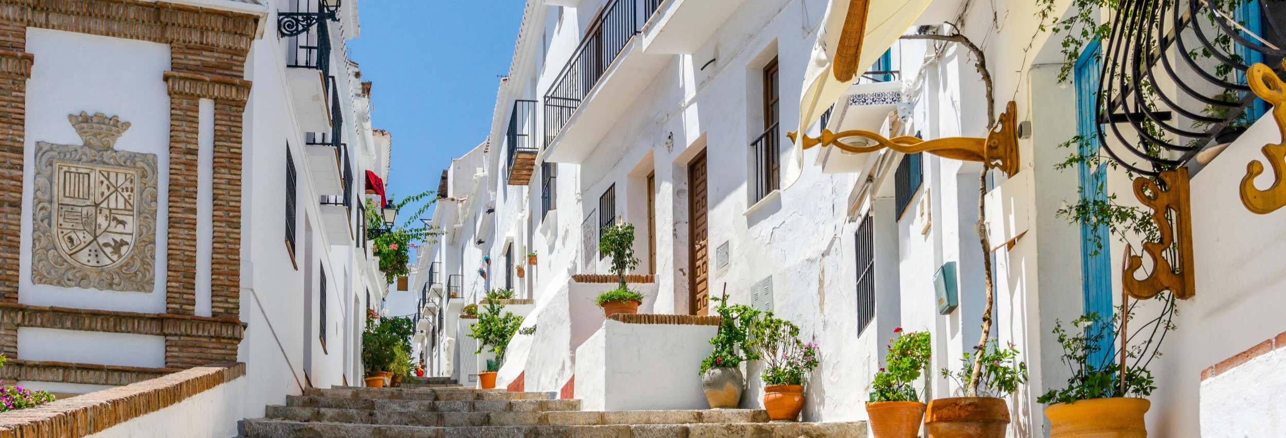 Frigiliana Guided Tour