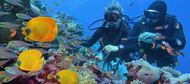 Immersione per principianti a Fuencaliente