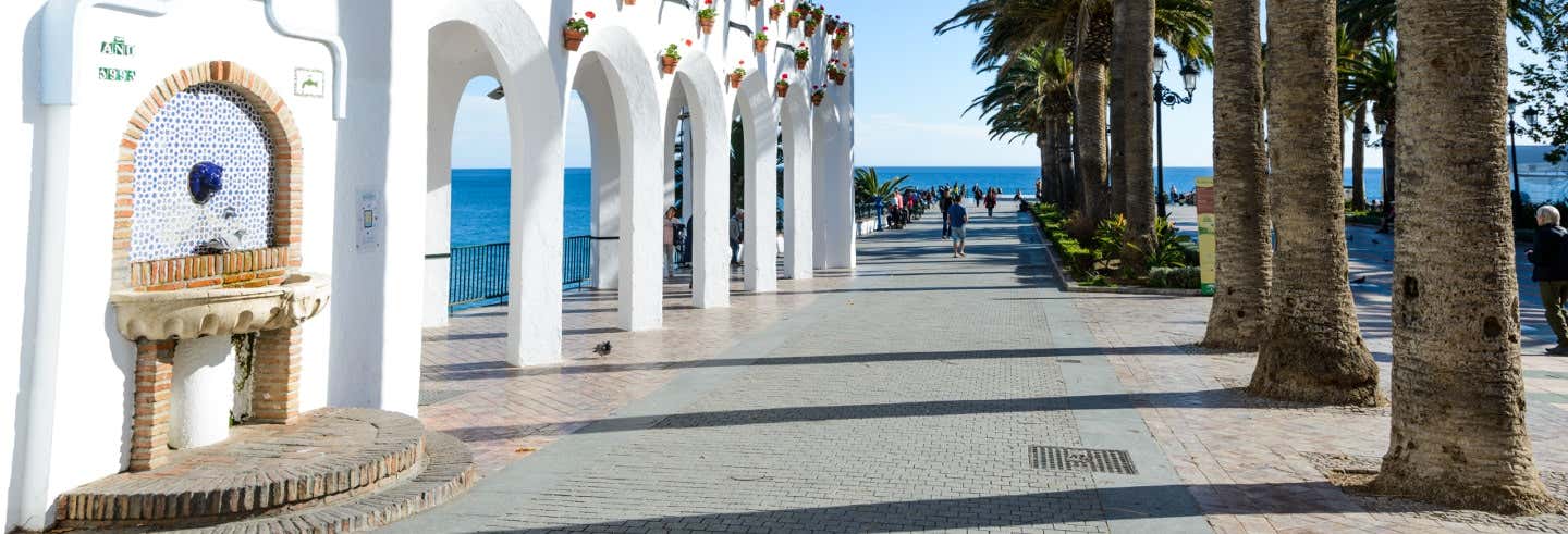 Escursione a Frigiliana e Nerja