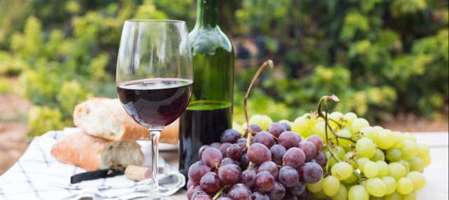 Visita alle cantine Eme Bodegas