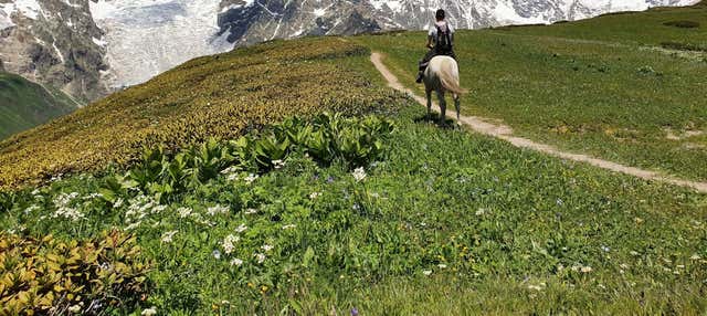 Passeggiata a cavallo ai Picos de Europa