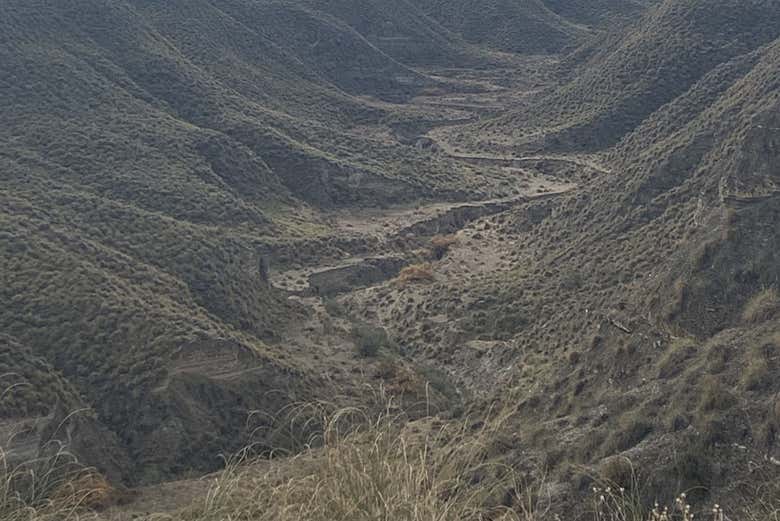 Imagen 5