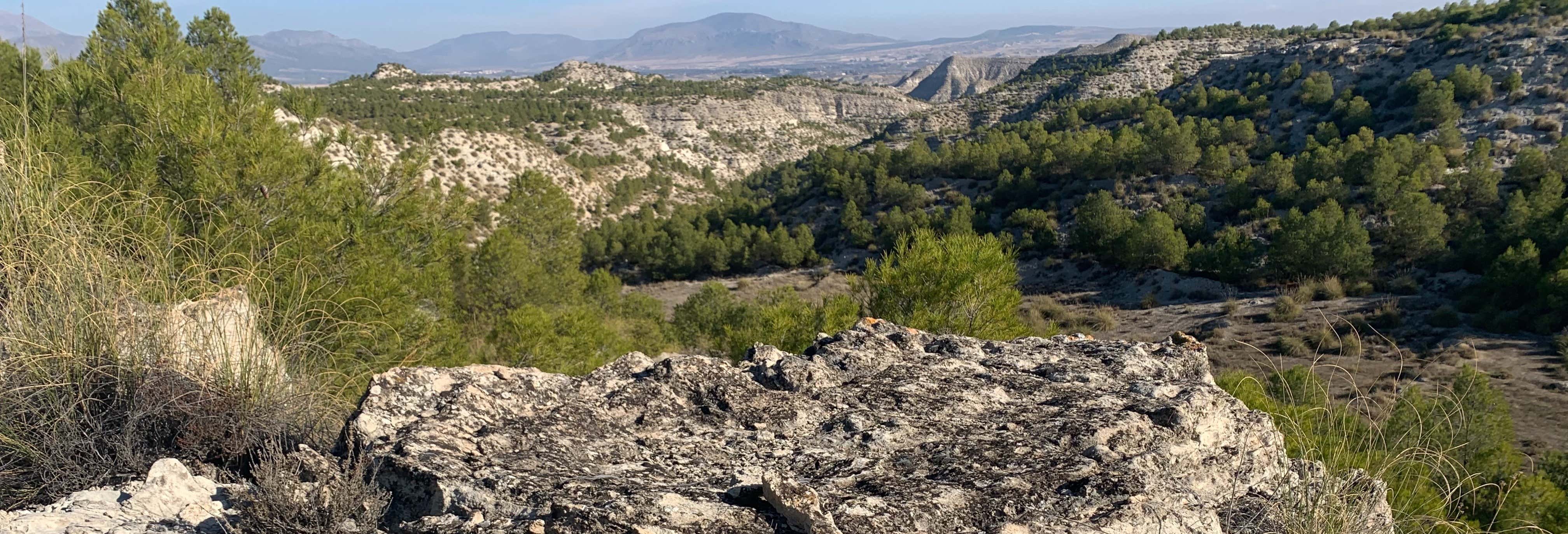 Sismites of Galera Hike