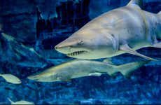 Gijon Aquarium Ticket